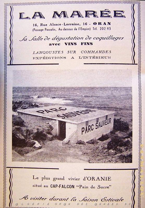 Oran Pub Alimentaire 127.jpg
